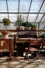 How Sweden Became the Surprising Center of the Greenhouse Home Movement - Photo 8 of 14 - 
