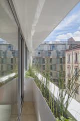 The fourth floor gets its own greenery in planters on a narrow balcony.  Photo 4 of 5 in A 19th-Century Paris Apartment Building Gets a Refined Addition With a Rooftop Garden