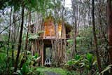 Exterior, Cabin Building Type, Shingles Roof Material, Gable RoofLine, Wood Siding Material, and Beach House Building Type Surrounded by lush foliage, this treehouse resides on the Big Island, on a secluded jungle path. The beach is just a short walk away.  Photo 7 of 11 in 10 of Our Favorite Beach Homes You Can Book Right Now on Airbnb