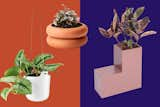 25 Chic Pots and Planters to Instantly Upgrade Your Greenery