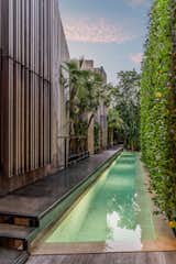 Lush greenery wraps around the lap pool to create a private backyard oasis.