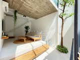 A Verdant Home in Hanoi Offers Respite From the Bustle of City Life - Photo 6 of 18 - 