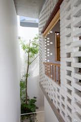 A Verdant Home in Hanoi Offers Respite From the Bustle of City Life - Photo 15 of 18 - 