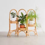 Urban Outfitters Rattan Tiered Plant Stand