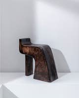 The Dwell 24: Nifemi Ogunro - Photo 4 of 4 - 