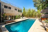 Pool of Midcentury Home in Nichols Canyon