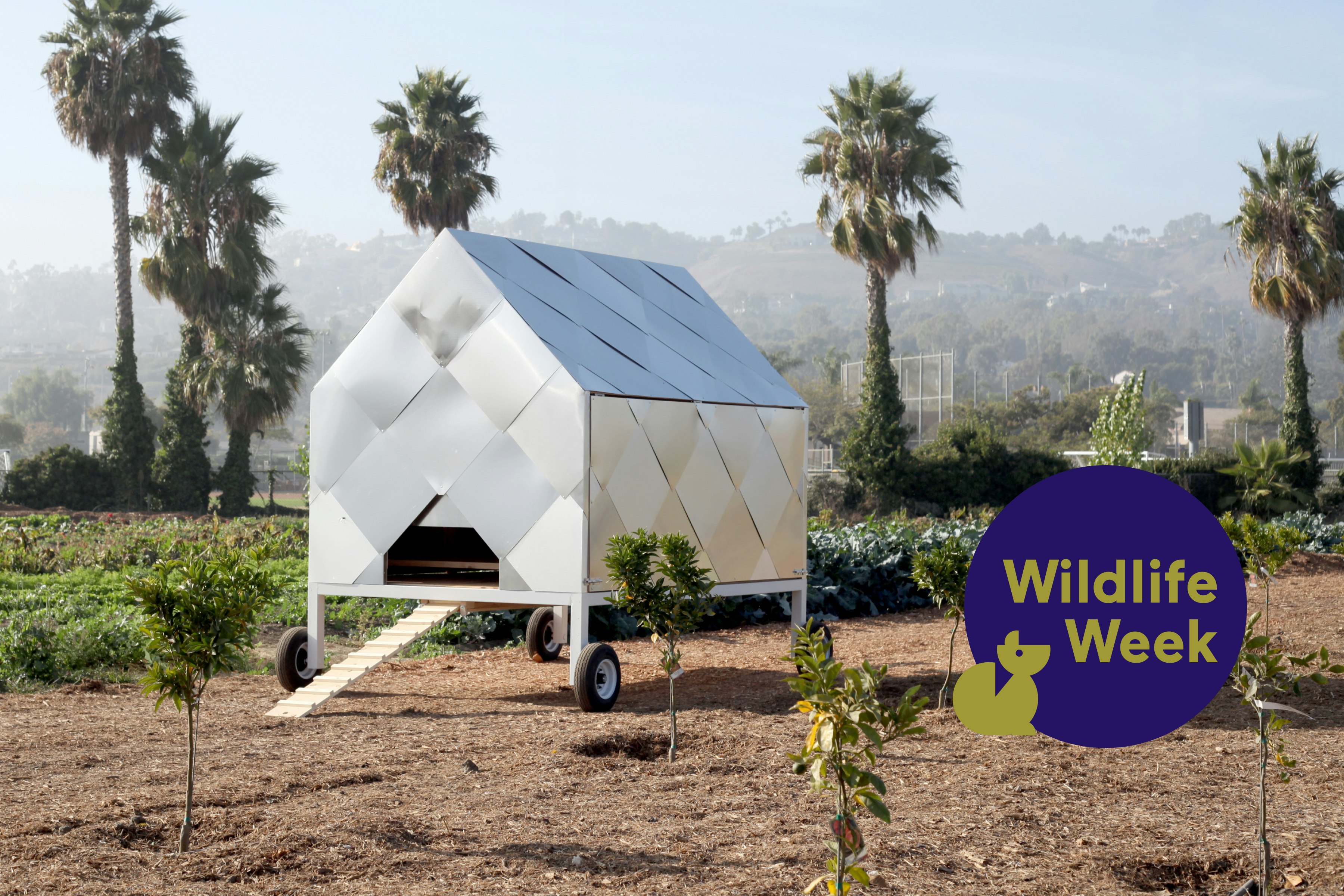 10 Modern Chicken Coops That Rule the Roost - Dwell, image size:2400x2400