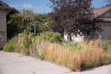 Check Out This Re-Wilded Suburban Home in Lincoln, Nebraska - Photo 7 of 9 -