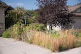  Photo 8 of 10 in Check Out This Re-Wilded Suburban Home in Lincoln, Nebraska