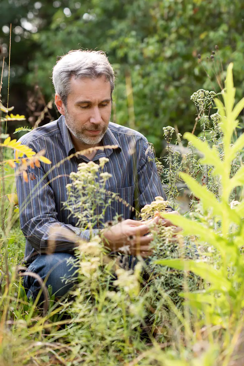 photo-3-of-10-in-check-out-this-re-wilded-suburban-home-in-lincoln