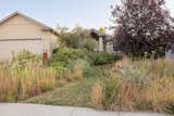 Check Out This Re-Wilded Suburban Home in Lincoln, Nebraska - Photo 6 of 9 - 