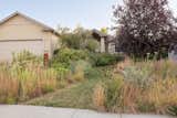 Check Out This Re-Wilded Suburban Home in Lincoln, Nebraska - Photo 6 of 9 -