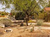 This Eco-Friendly Lawn in Arizona Mimics a Natural Stream Overflow - Photo 4 of 7 - 