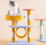 Happy and Polly Flower Design Cat Tree