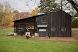 The Stauffers transformed the property's original barn into a chicken coop. "We were thrilled we could keep that intact,  Photo 3 of 13 in This Charming Kalamazoo Farmhouse Has a High-Tech Secret