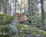 Set on a storied site, the Colorado Camelot Tree House offers a place to rest after traipsing through the pines, wildflowers, mushrooms, and moss-covered rocks.
