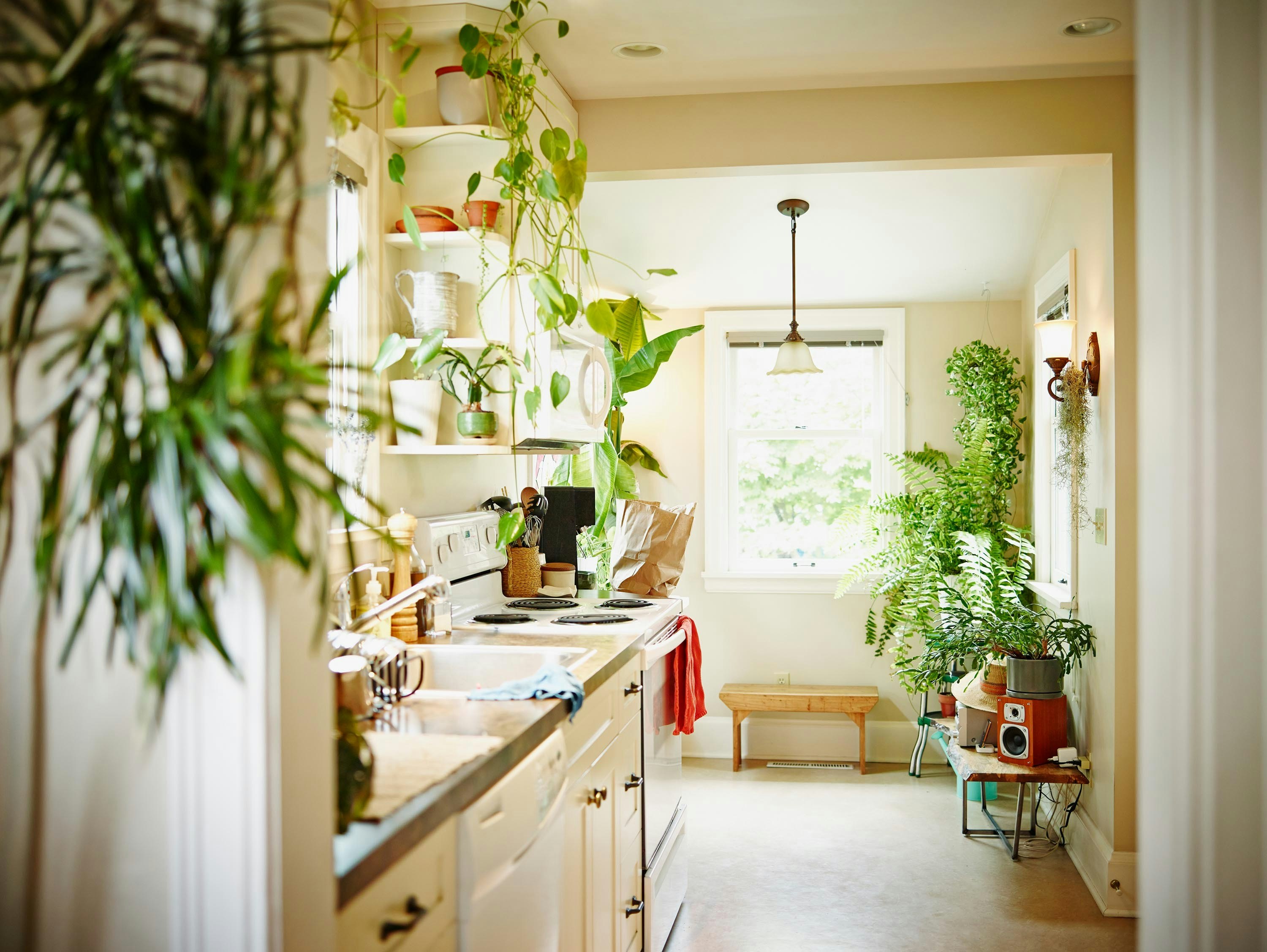 How to Organize a Cabinet Style Pantry - Style + Dwell