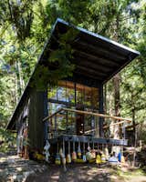 The cabin's roof is made from the strongest gauge corrugated metal that Carsten could find. "Trees fall over in large windstorms,
