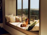 Dog sitting on a cushion in a living room alcove by window.