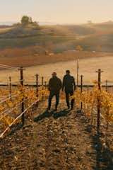 Two men walking in California vineyard