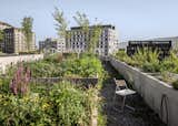 In Zurich, a New Mixed-Use Development Takes Some of Its Inspiration From Former Squatters - Photo 12 of 14 - 