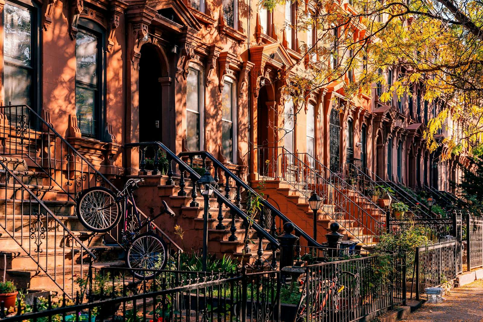 Photo 3 of 3 in Walking the Brooklyn Heights That Inspired “Pineapple