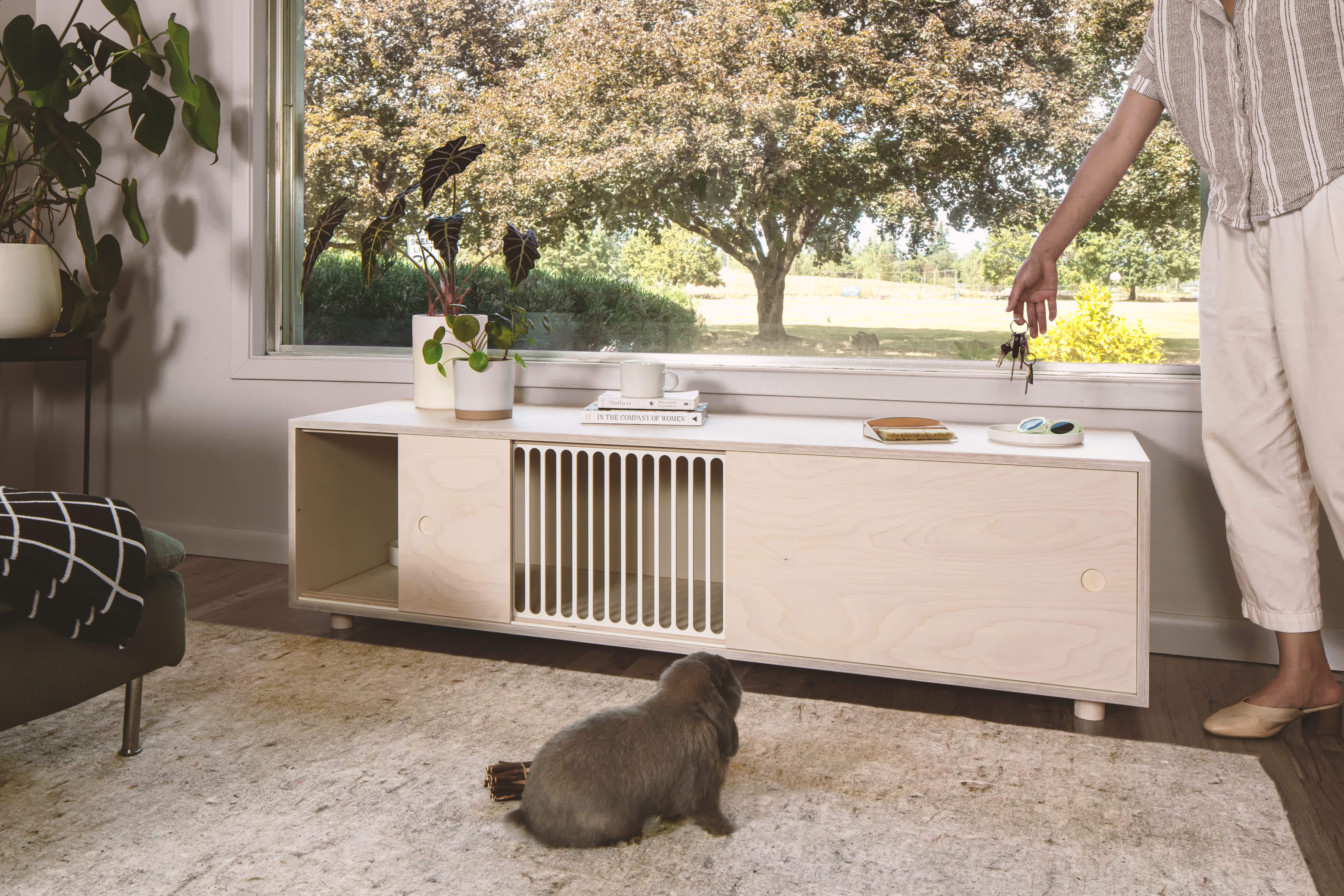 Modern 2024 pet furniture