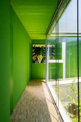 Hallway with green walls and ceiling, painting of plants, medium hardwood floors, and floor-to-ceiling glass windows in Turin, Italy