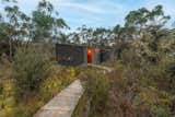One Night in a Secluded Cabin Deep Within the Australian Bush