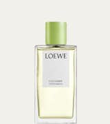 Loewe Cucumber Home Fragrance