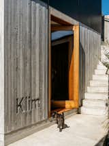 Small brown dog sniffs threshold of open glass door framed in medium-stained wood on ground story of additional dwelling unit in Miramar, Wellington, New Zealand with black aluminum, board-formed concrete, and wood siding.