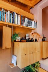 Orange striped cat walks between digital cameras and small potted plant atop light wood millwork cabinets and beneath light wood book shelf in office extension in Guayaquil, Ecuador.