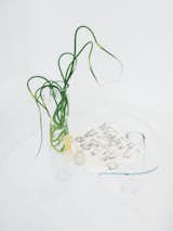 Clara Jorisch’s glass table with plant in glass vase in white room of Montreal workshop.
