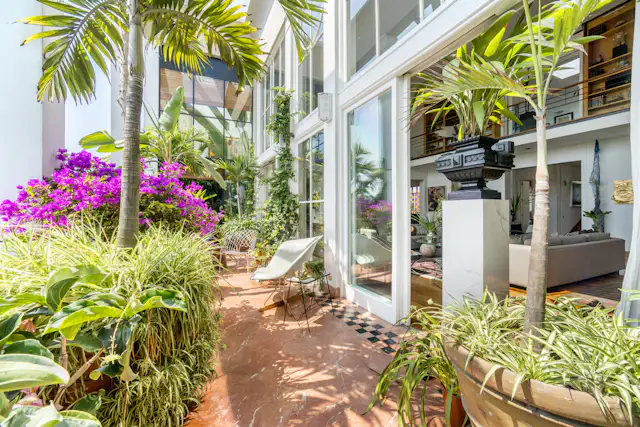 Penthouse Apartment Decor With Exotic Plants Reference: Photo 3 Of 10 In Plant Obsessed You Ll Love