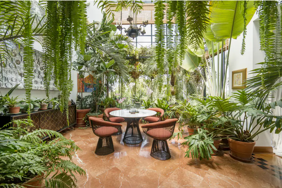 Plant Obsessed You Ll Love This 4 5M Peruvian Penthouse Dwell preview