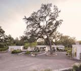 White metal clad prefab prefabricated units of home house by Connect Homes wrap around landscaped gravel courtyard in Sonoma, California.