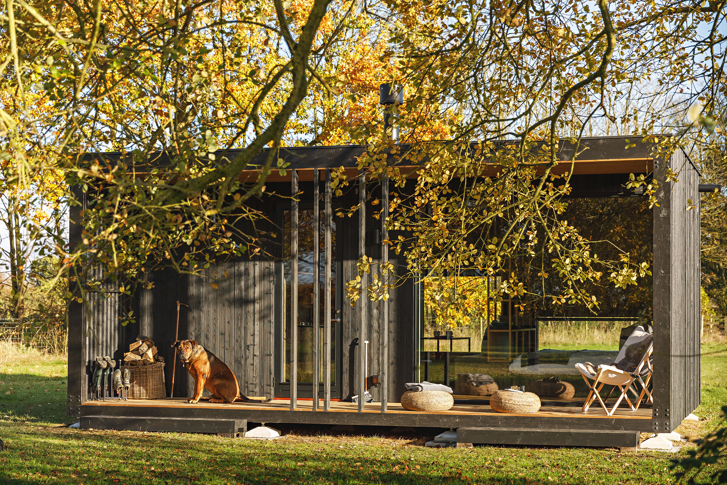 Photo 3 Of 11 In These Tiny “See-Through” Cabins Are Made Of Charred ...