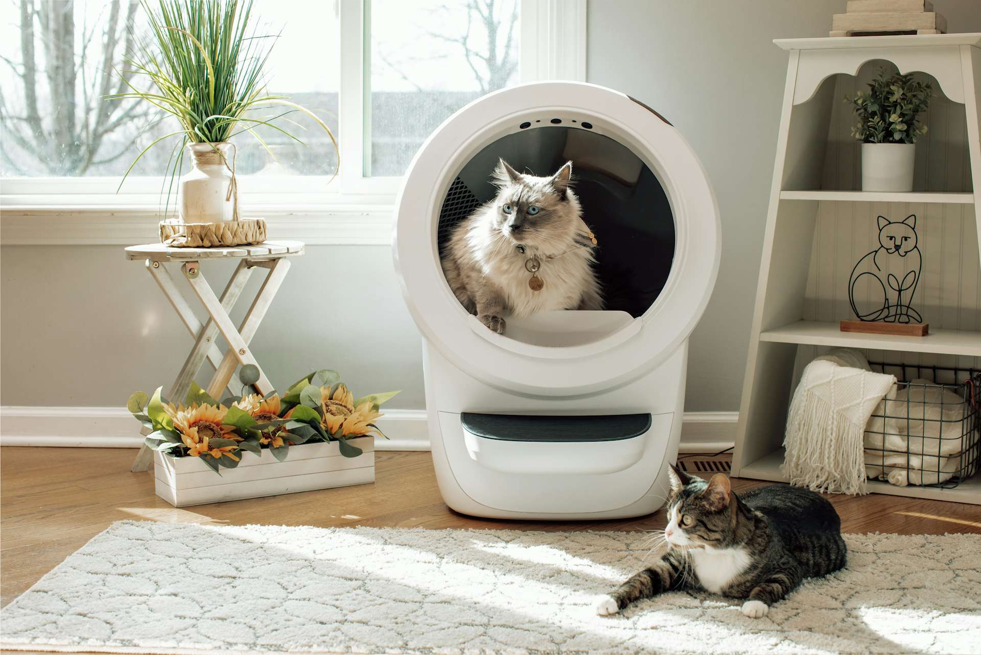 Photo 4 of 6 in Robots for Your Pets—and More Questionably Useful Smart ...