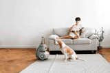 Robots for Your Pets—and More Questionably Useful Smart Home Tech From CES 2024