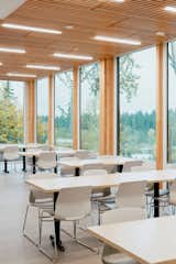 Block Architects used materials that highlight the flora of the Pacific Northwest. The slatted ceilings of the main-level community spaces, for example, are made of Pacific Albus.