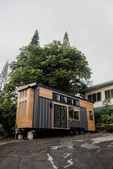 Exterior of Paradis Tiny Home's Ohana model with slightly pitched saltbox roof and cedar and blackened metal siding sits alongside upwards slope paved with cracking cement in Hawaii Hawai'i.