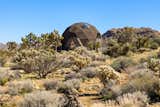 Live Out Your Geodesic Dome Dreams in This $899K Joshua Tree Home