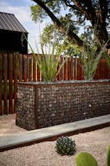 Outdoor, Shrubs, Hardscapes, Gardens, Metal Fences, Wall, Front Yard, and Vertical Fences, Wall  Photo 1 of 760 in 814 Studio Remodel by stephen mullens from A San Antonio Property Is More About the Drought-Resistant Yard Than the Tiny Home It Surrounds