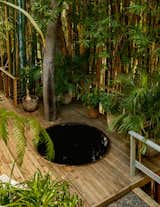 Towering bamboo plants conceal a cedar deck with a sunken redwood hot tub from California Hot Tubs.