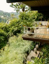 The Owner of an L.A. Neutra Doubles Its Living Space by Looking in the Unused Backyard - Photo 8 of 11 - 