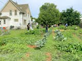 Volunteers tend the R. Roots Garden in Minneapolis, where the produce they grow goes to the local community.