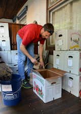A man unpacks his CSA box from Pennsylvania’s B&amp;H Organic Produce farm.