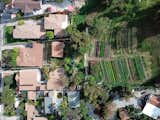 Aerial view of the Avenue 33 Farm a small urban farm in Los Angeles in the middle of neighborhood with single-residence family homes.