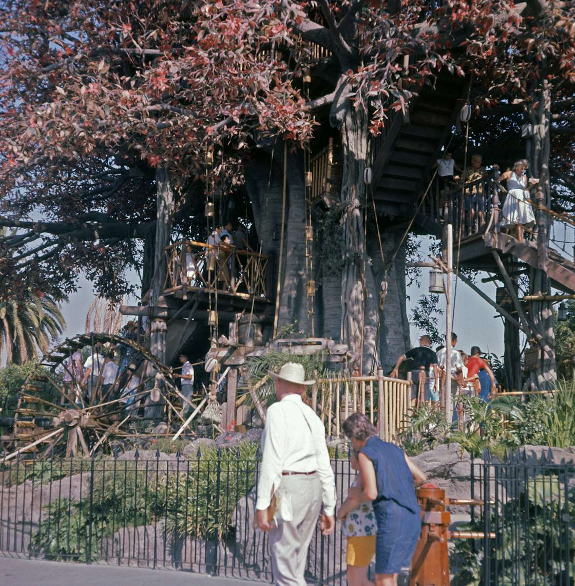 Photo 5 Of 7 In We’ll Never Climb Down From The Tree House - Dwell