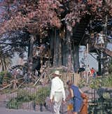 the base of the swiss family robinson attraction with people walking by it